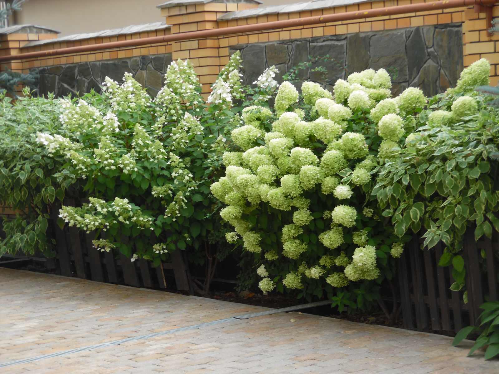 Современный сад.