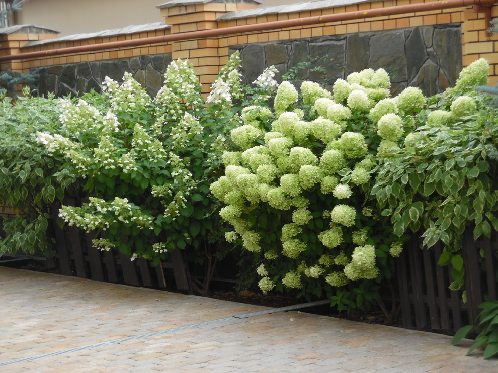 Современный сад.