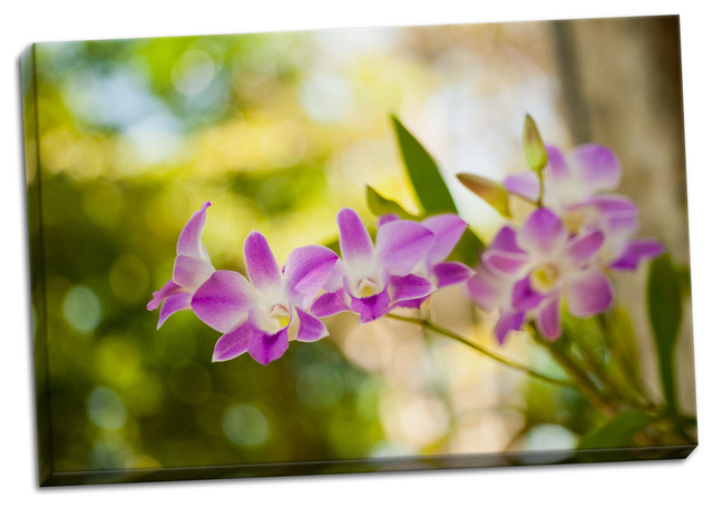 Fine Art Photograph, Thai Orchids, Hand-Stretched Canvas