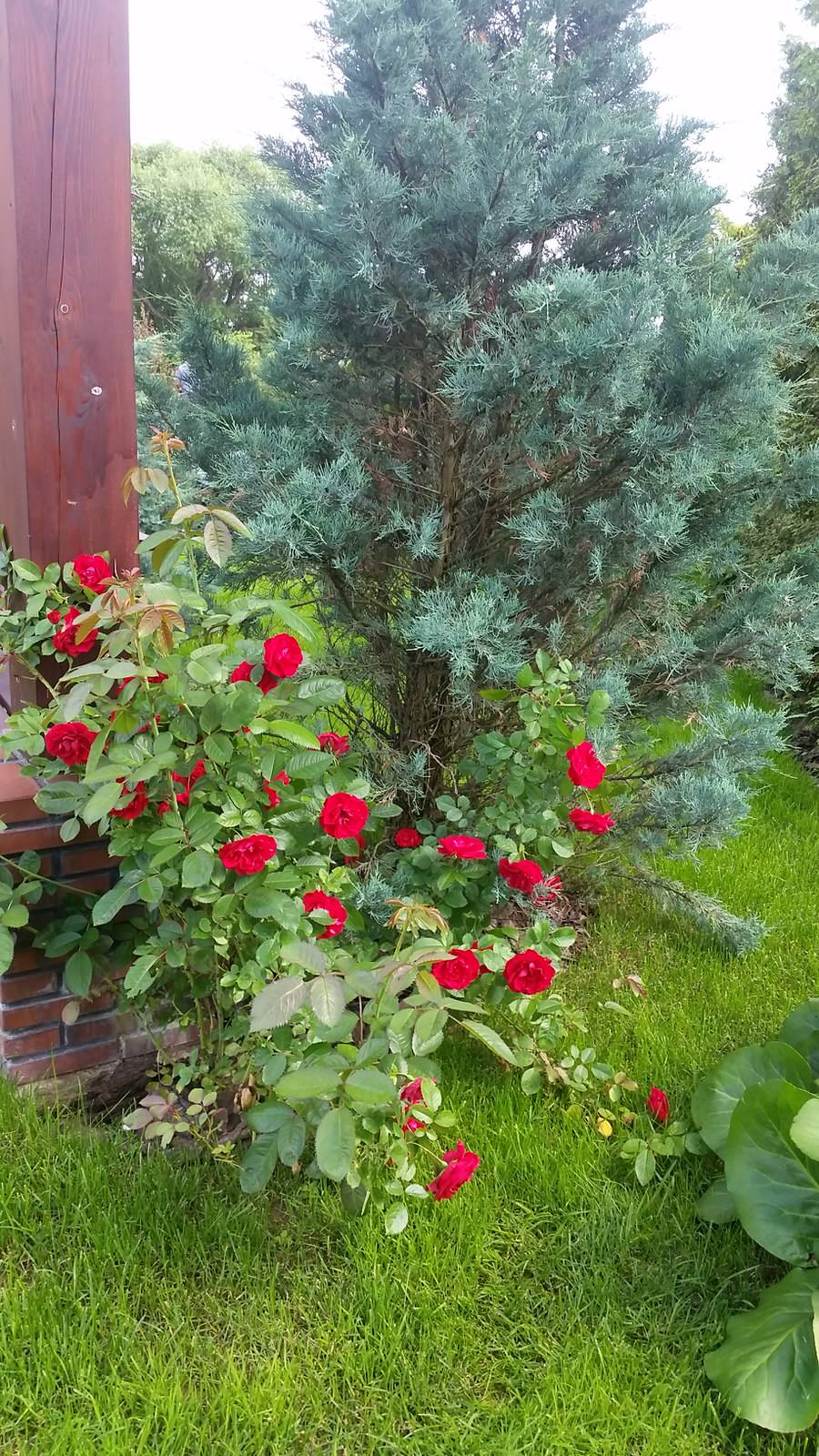 Ландшафтный проект 2