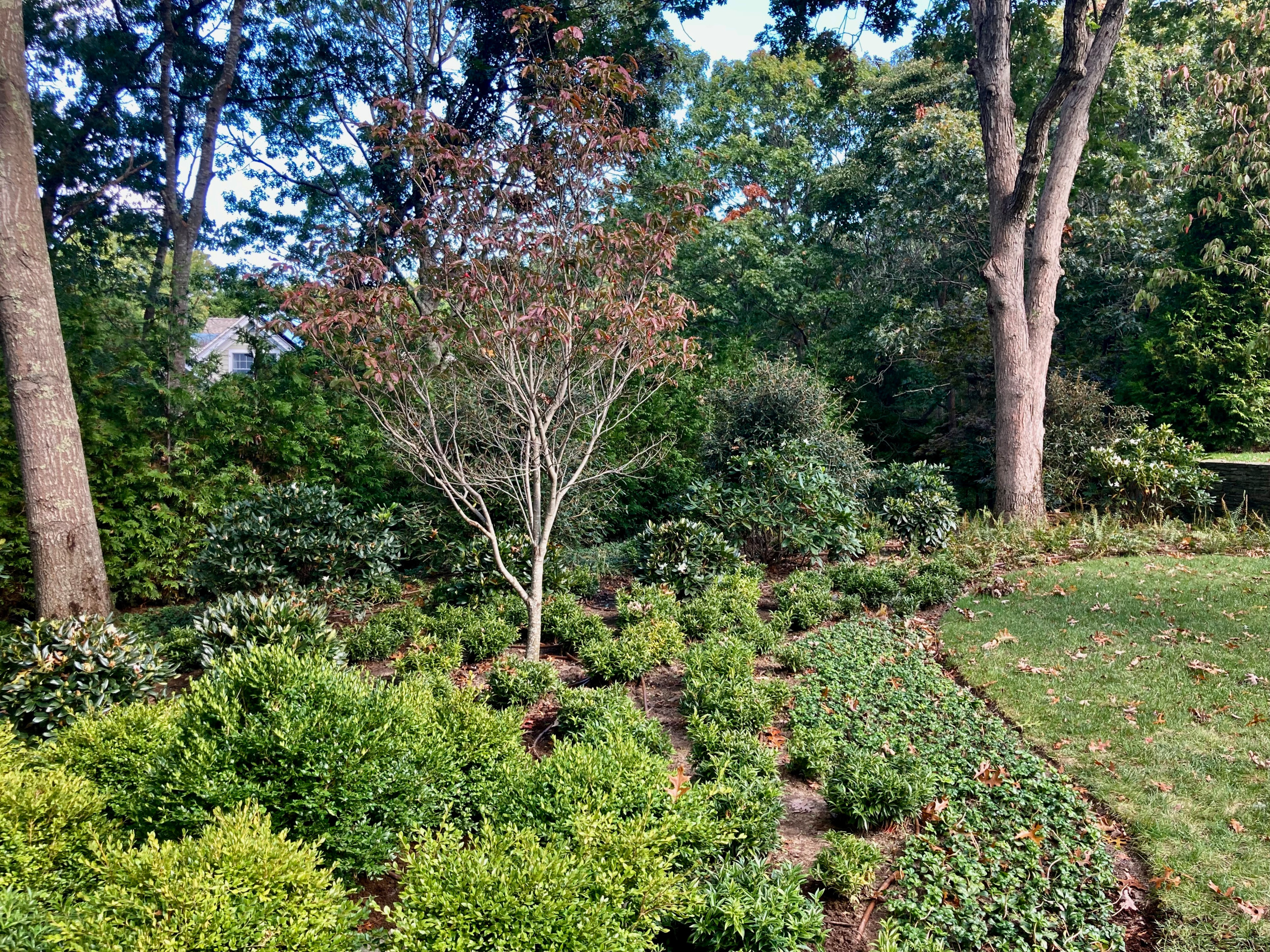 Sag Harbor, NY Formal garden design