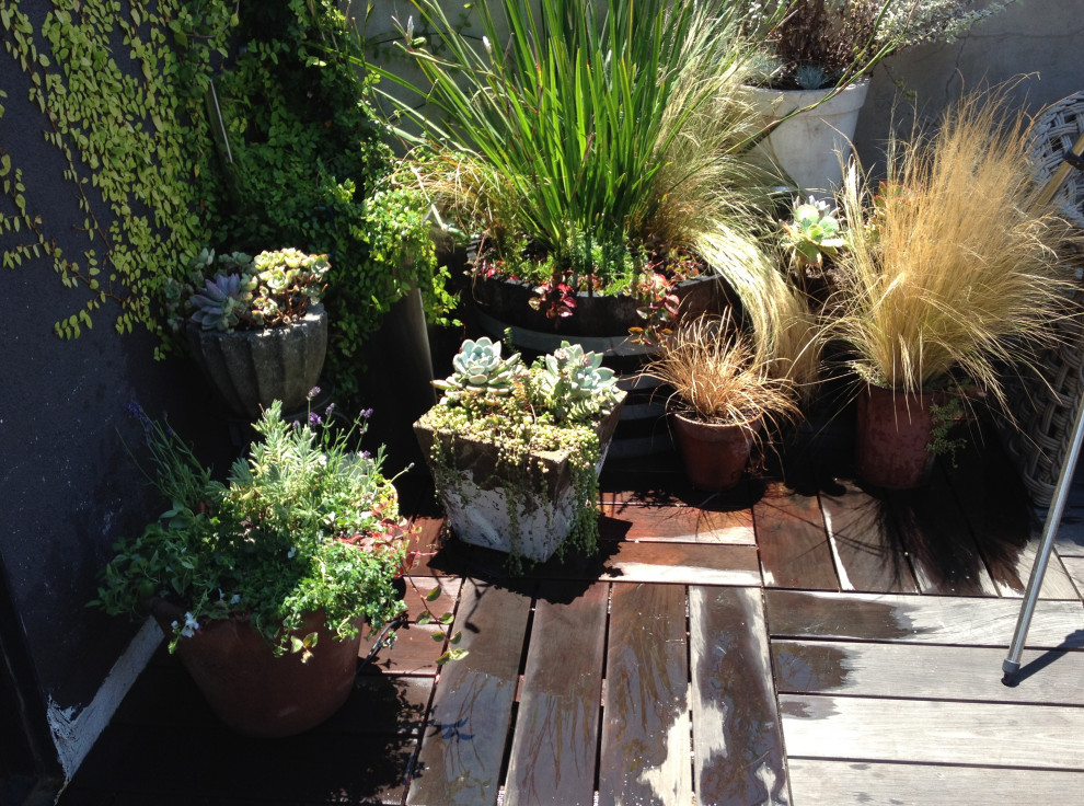 Kleiner Eklektischer Dachgarten mit Kübelpflanzen, direkter Sonneneinstrahlung und Dielen in Los Angeles