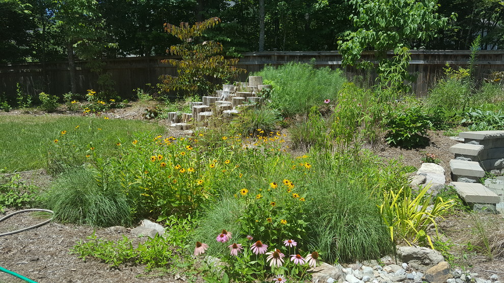 Inspiration for a mid-sized eclectic backyard full sun xeriscape in Raleigh.