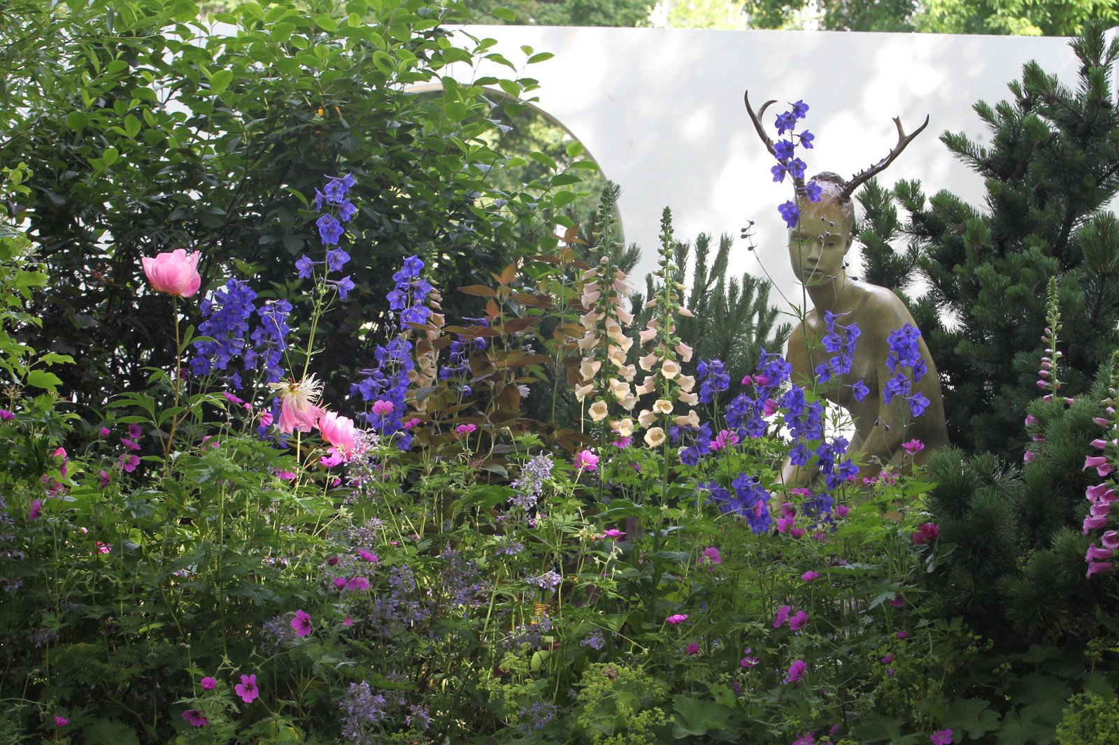 Фотосъёмка сада   Mark  Eveleigh(+Gigi Cameron) на   MoscowFlowerShow2017