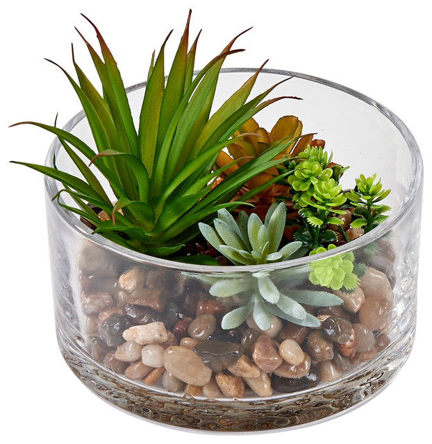Succulents In 5.5" Round Glass Container - Artificial Plants And Trees - by  WORTH IMPORTS | Houzz