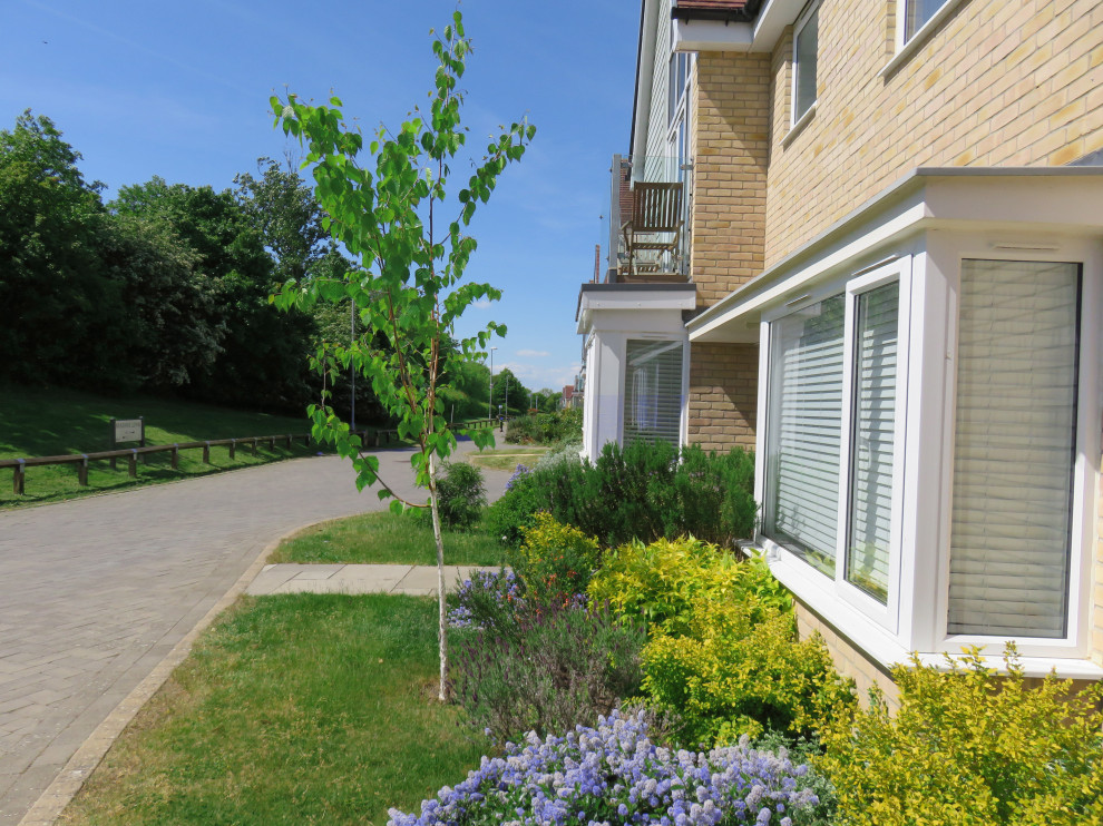 Front Garden, Essex