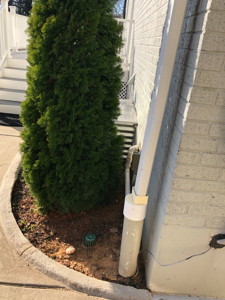 Help please are these trees too close to house foundation?