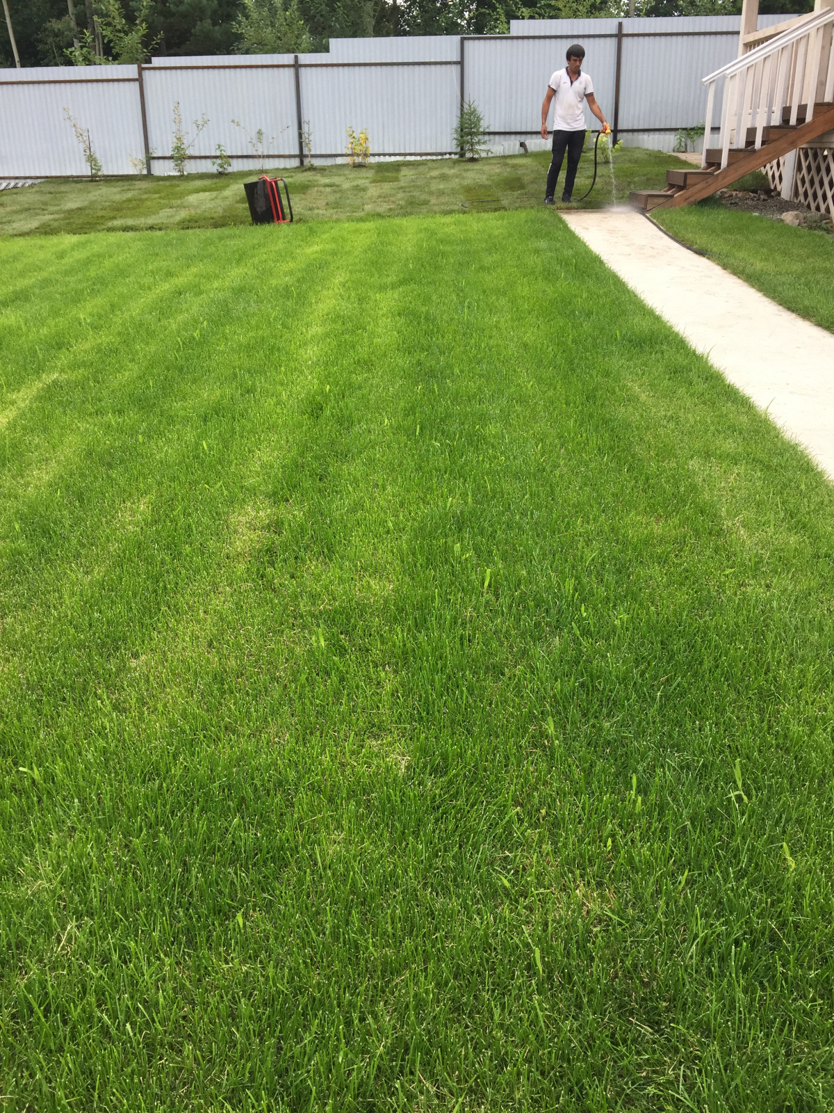 Укладка рулонного газона