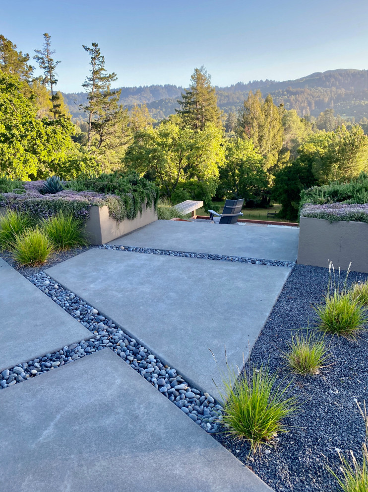 Mittelgroßer Moderner Garten im Sommer mit Kübelpflanzen und direkter Sonneneinstrahlung in San Francisco