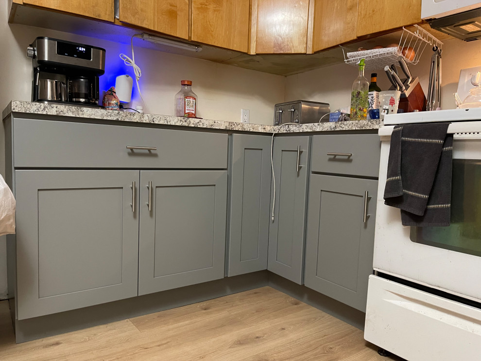 Partial kitchen remodel