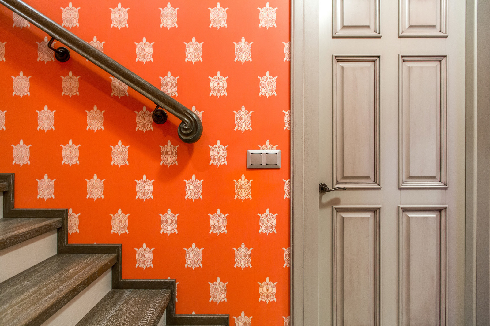 Черепахи стремятся к Солнцу