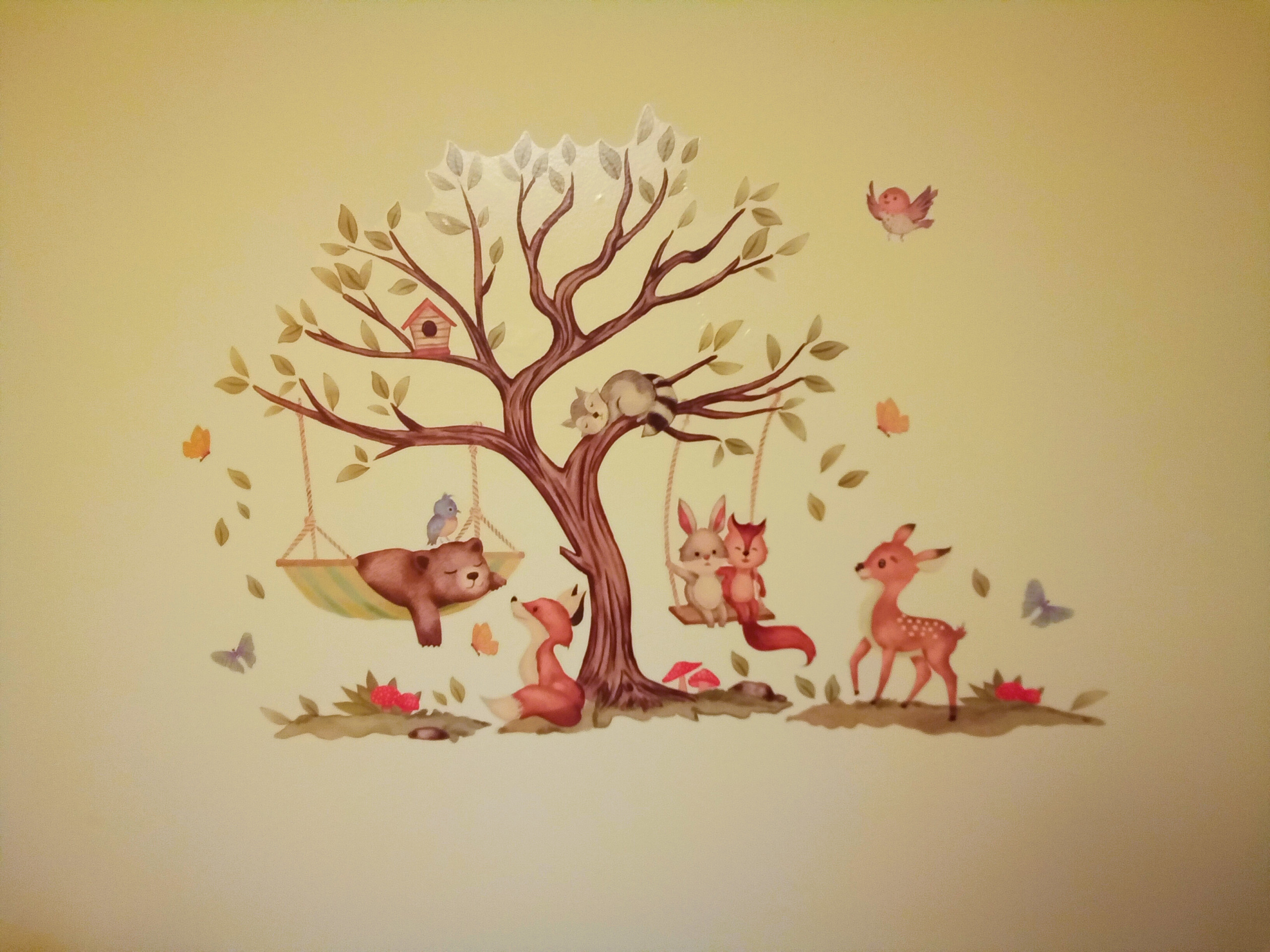 Barndarrig Nursery