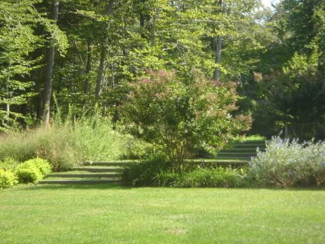 Sod Steps garden