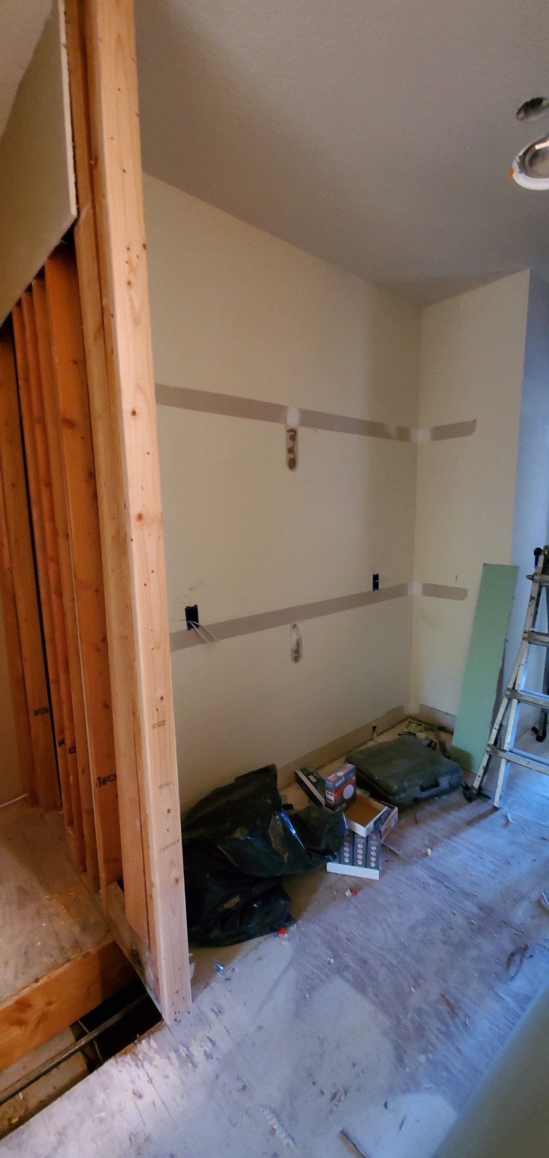 Sharon's Mstr Suite renovation