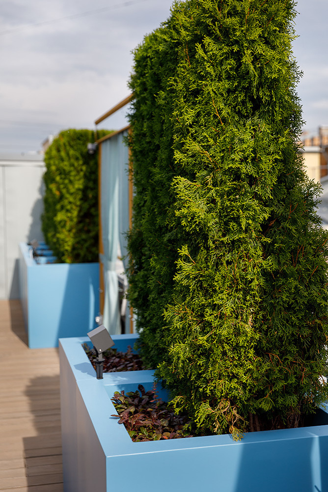 Клубный дом Особняк Кушелева Безбородко 23