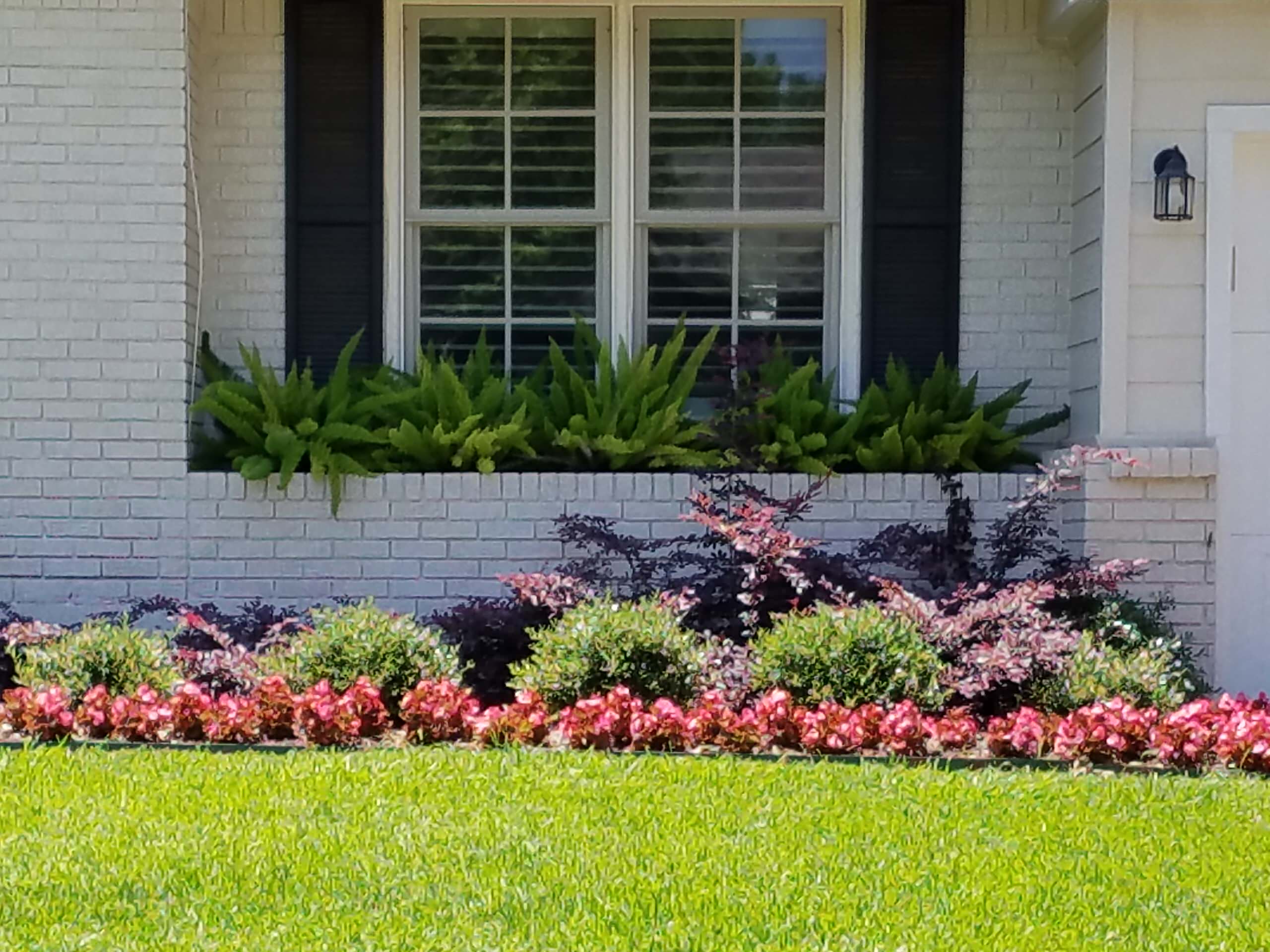 Traditional Front yard Landscape