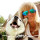 Last commented by Carol Elliott
