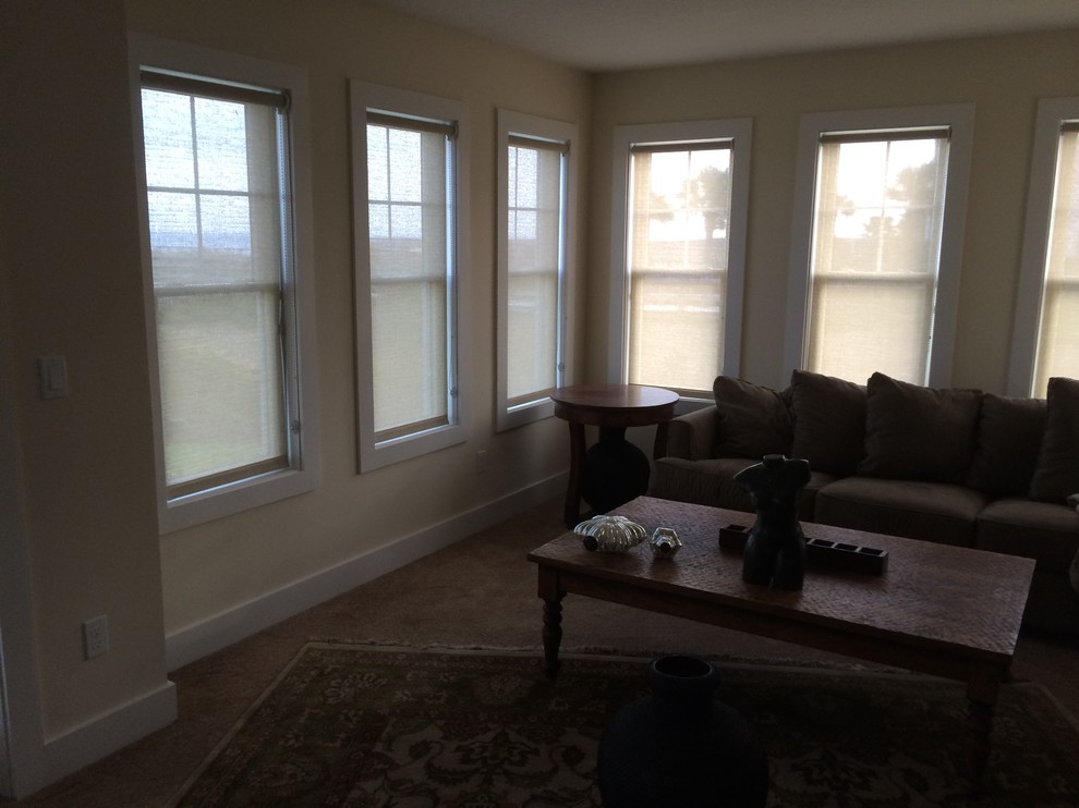 Solar Shades