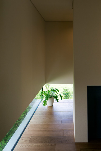 case2 contemporaneo