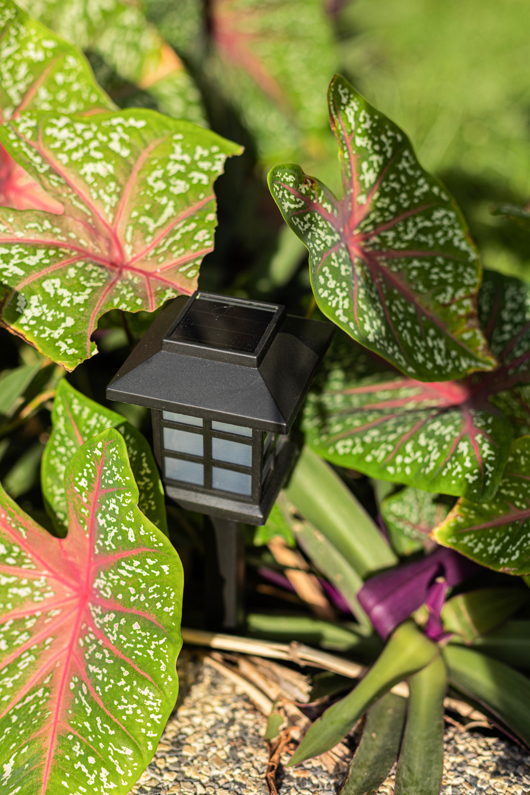 Ресторан при отеле