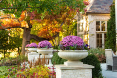 20 Favorite Flowers for the Fall Landscape