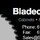 Bladecutters Inc