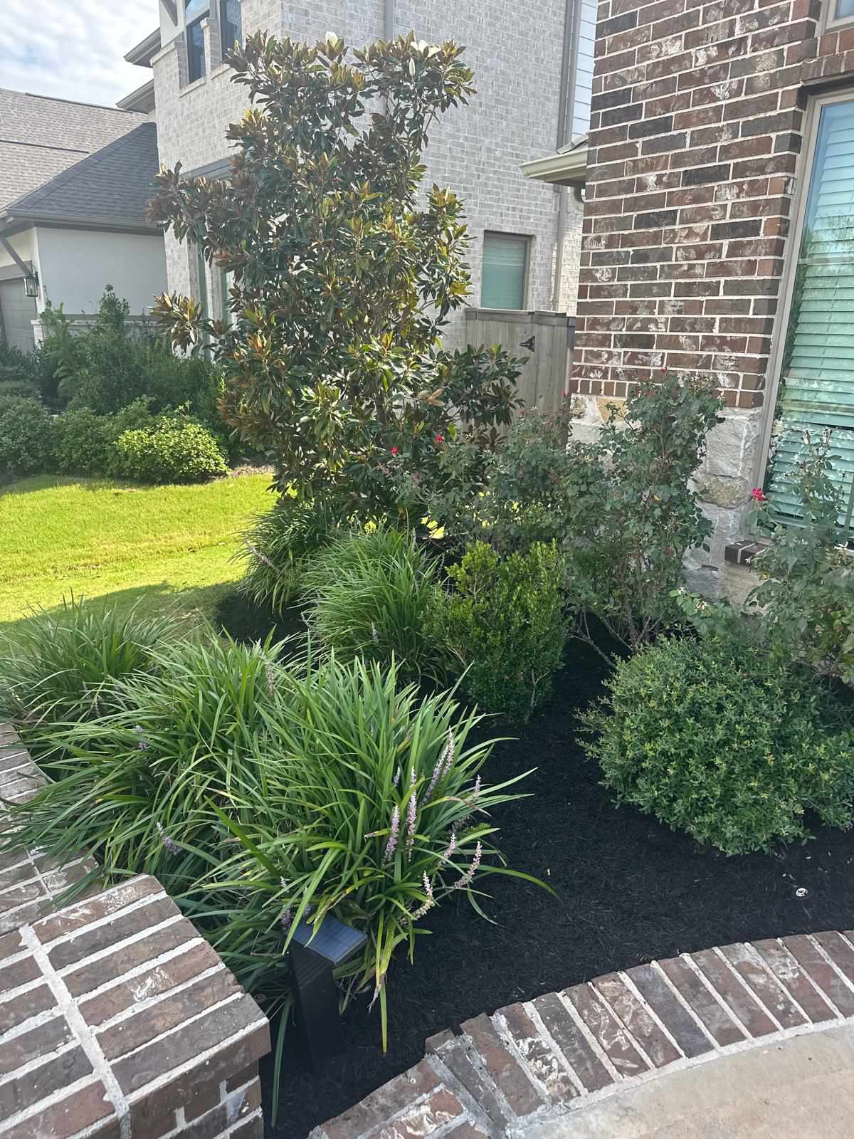 Backyard paradise in Bridgeland
