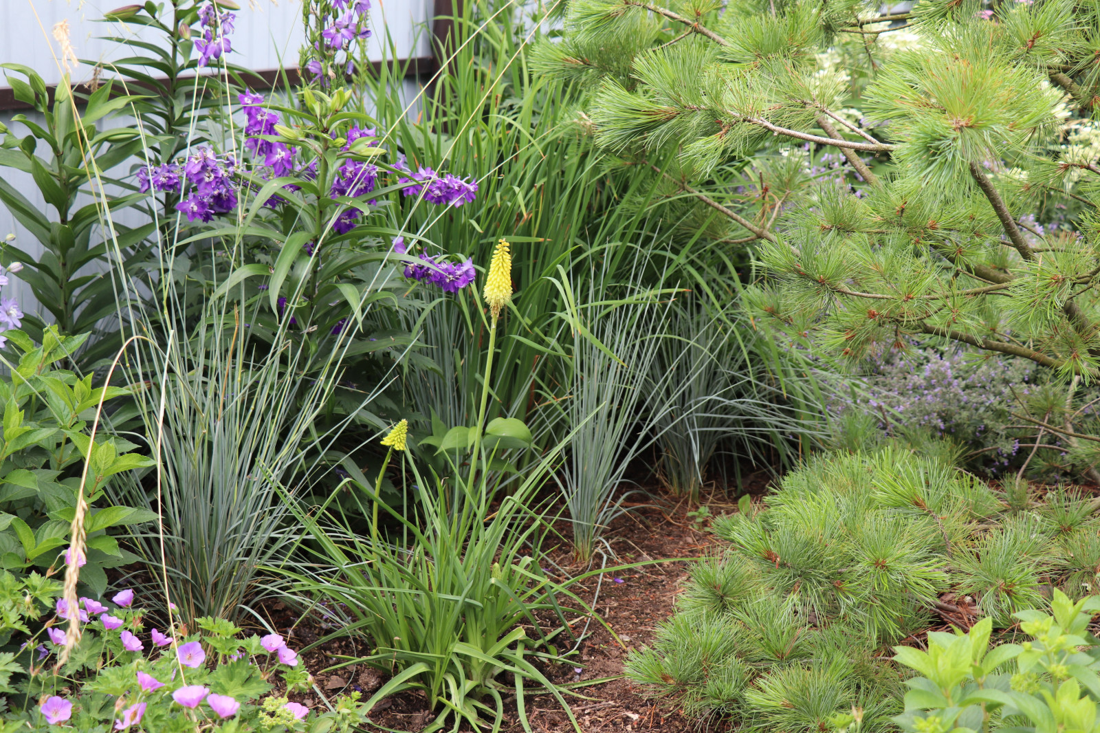 Цветущий сад