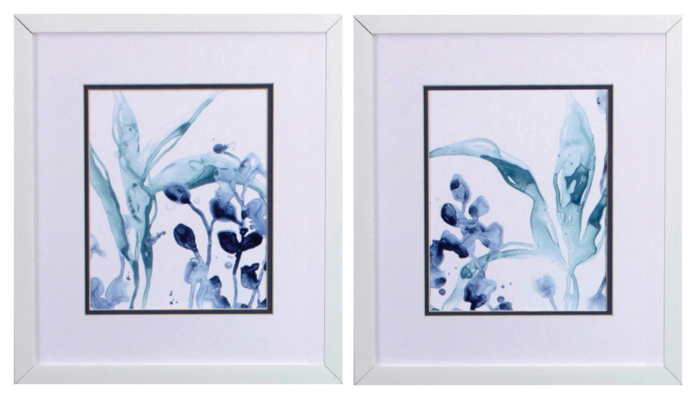 Blue Kelp Wall Art, 2Piece Set Beach Style Prints And Posters by
