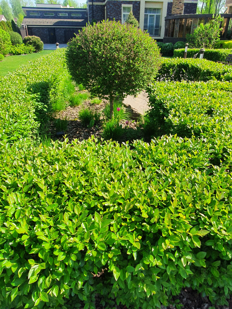 Летова роща