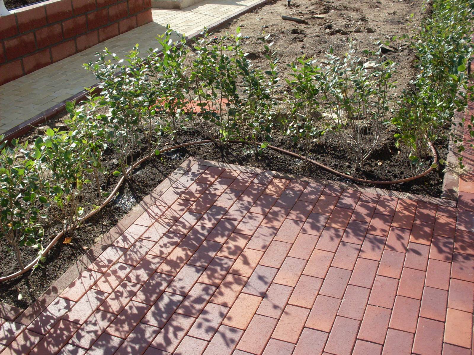 Автоматический полив в Москвоской области