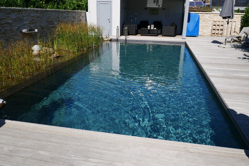 Mittelgroßer Moderner Pool neben dem Haus in rechteckiger Form mit Dielen in Hamburg