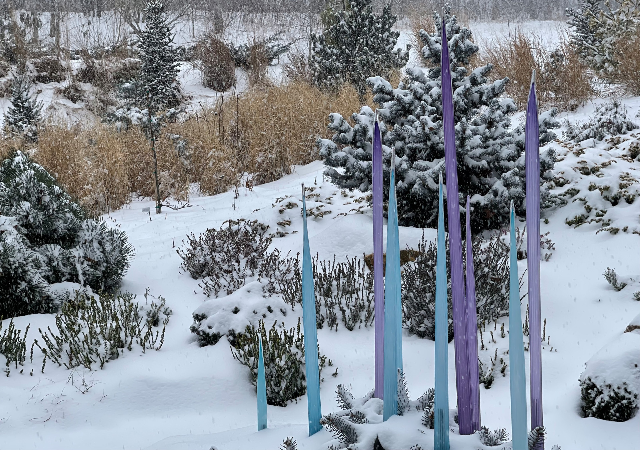 Glass Spears in Snow