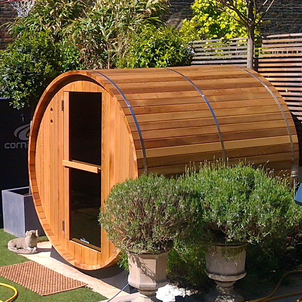 Inspiration for a small contemporary backyard shaded garden in London with a vertical garden.