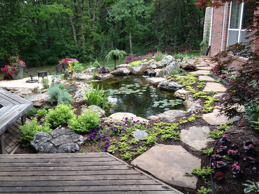 Ecosystem Koi Ponds and Water Gardens By Continental Ponds