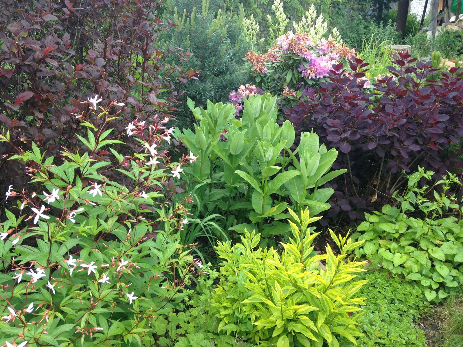 Сад на песках