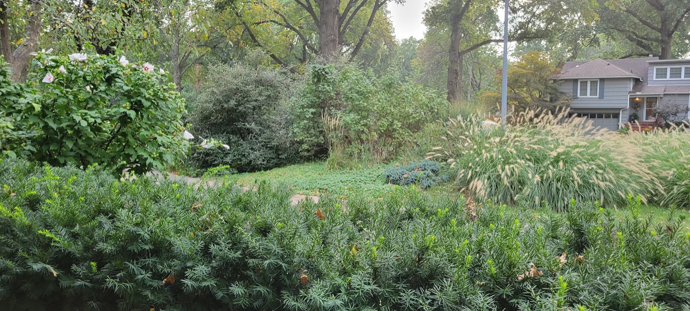 Prairie Village Prairie