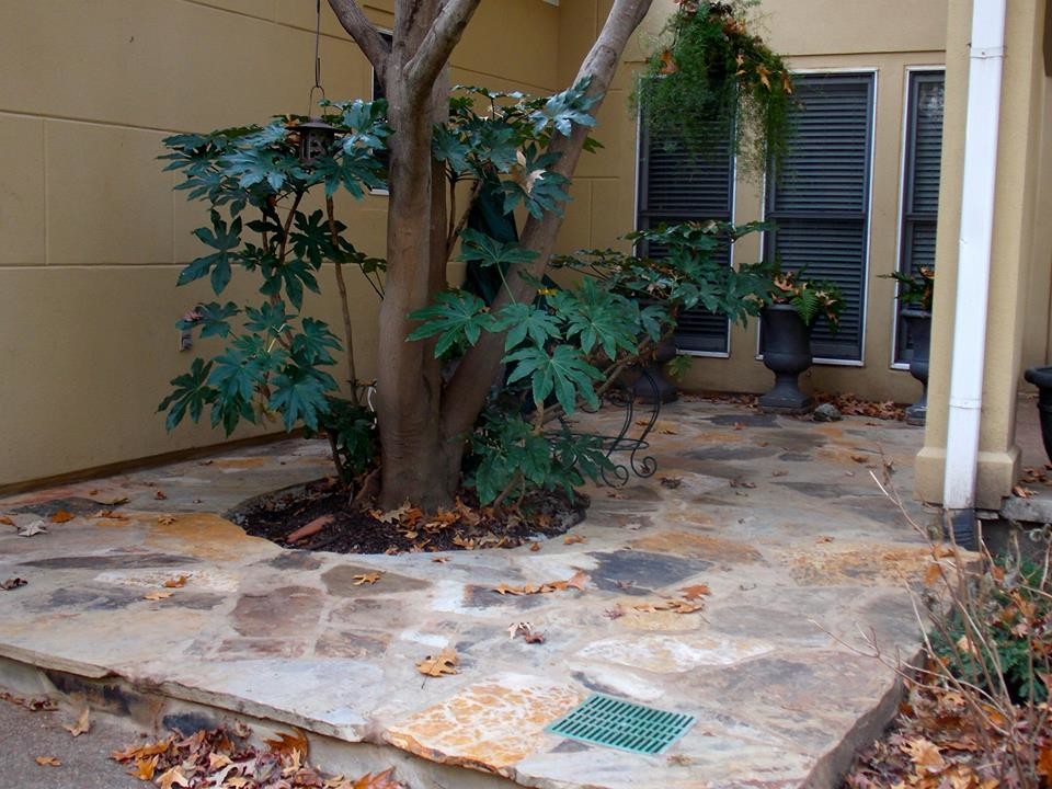 This is an example of a small transitional partial sun backyard stone garden path.