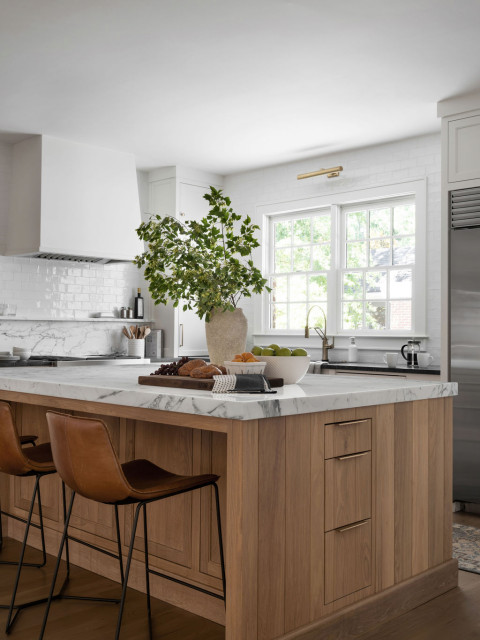 Kitchens III transitional-kitchen