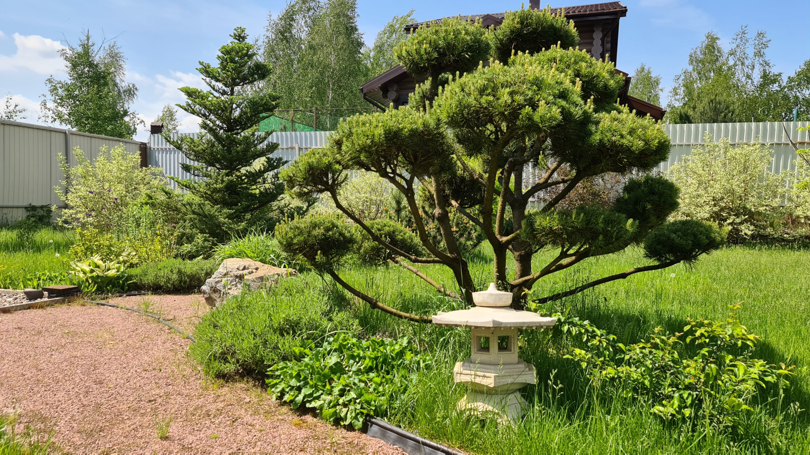 Посадка растений, озеленение