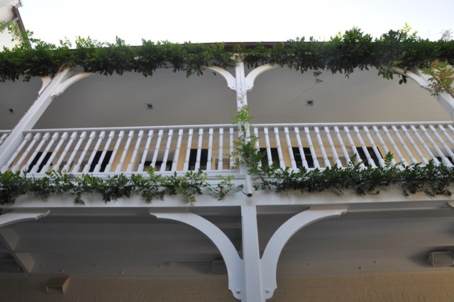 Georgetown Garden contemporary-garden