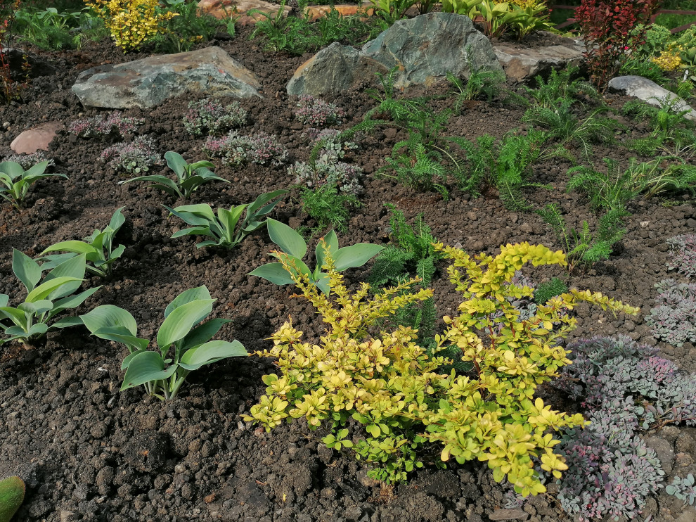 каменистый сад