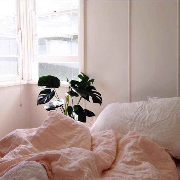 Scandinavian bedroom in Wollongong with white walls and painted wood floors.