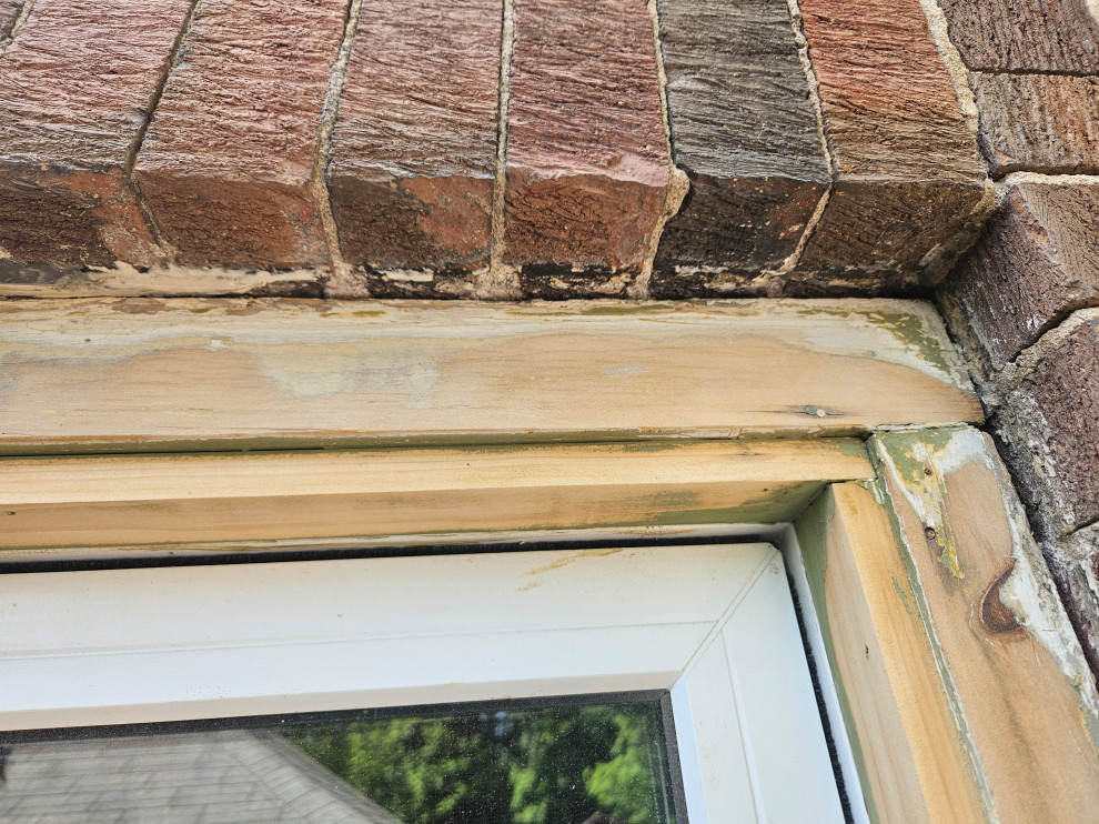 Window Trim Remediation