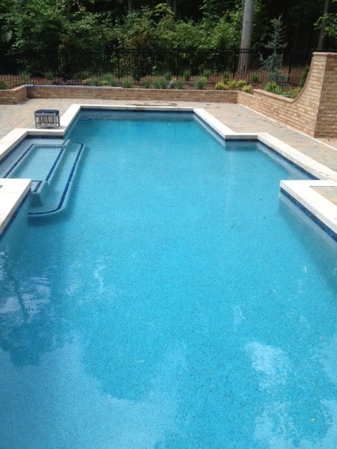 Photo of a transitional pool in Raleigh.
