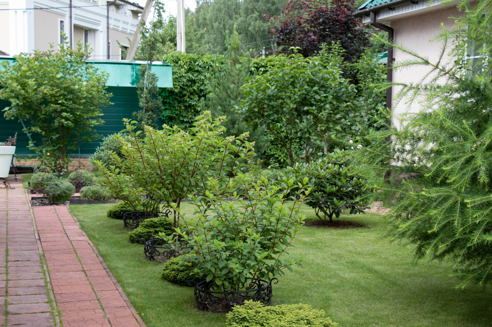 Французский садик в поселке Рыбаки Дмитровское шоссе