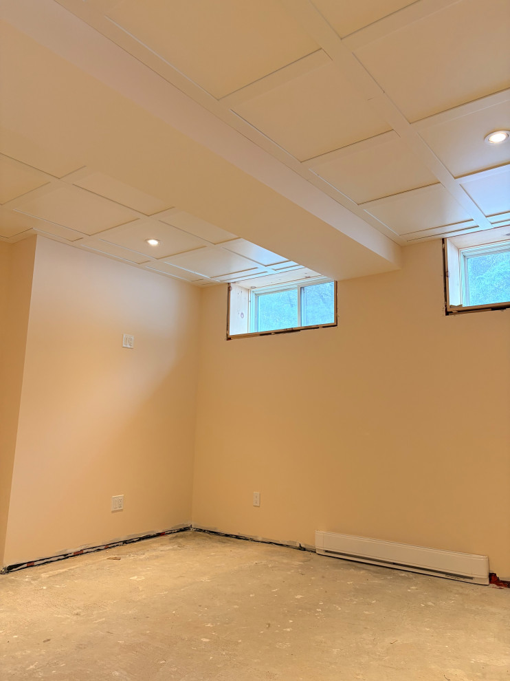 Basement Renovation