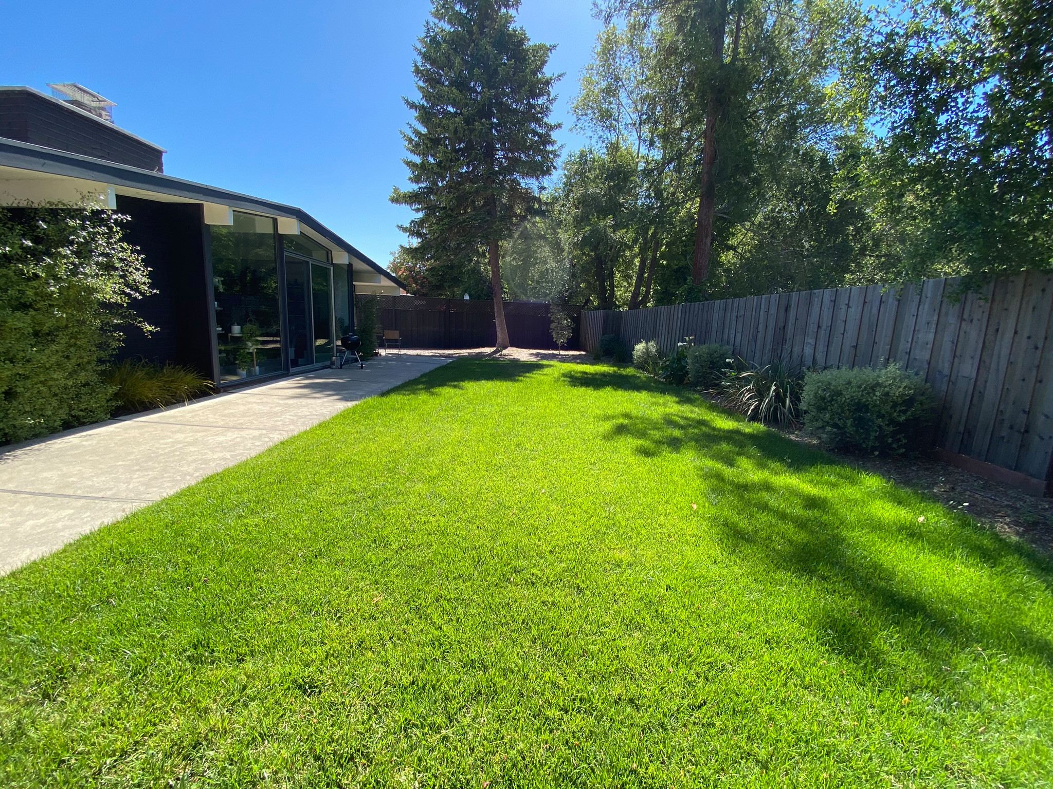 Contemporary Eichler Backyard Remodel