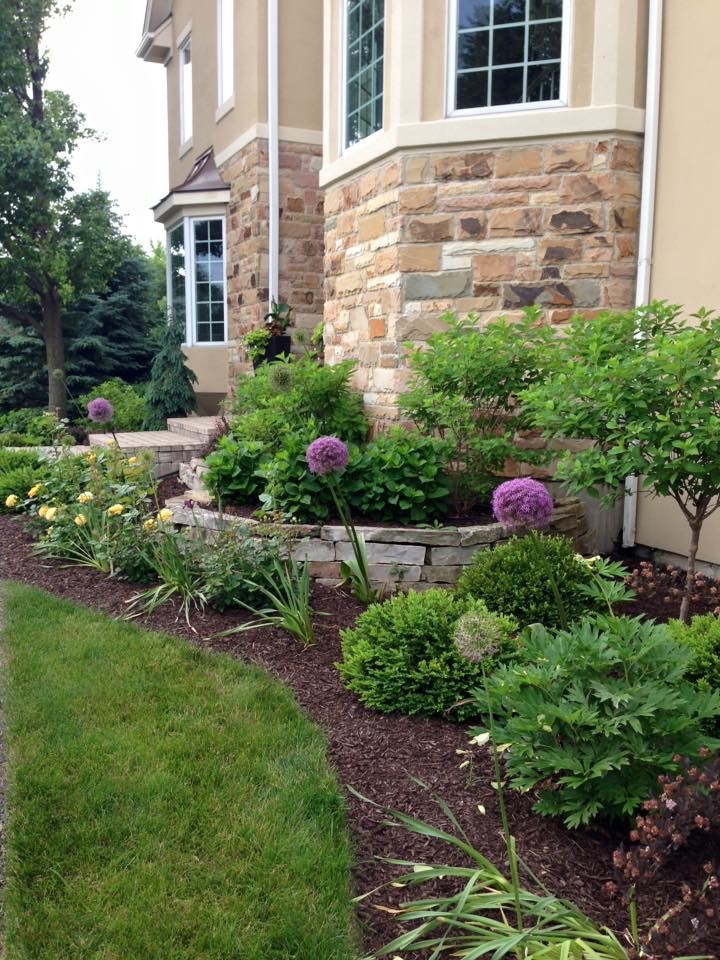 Alliums are blooming. Getting your "Spring "on