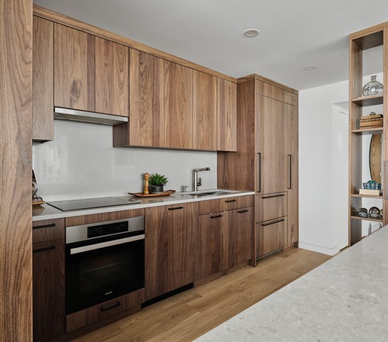 Modern Kitchen kitchen